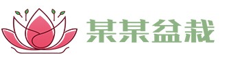 球速体育官方入口(官方)手机app/官方版/免费/安装/下载